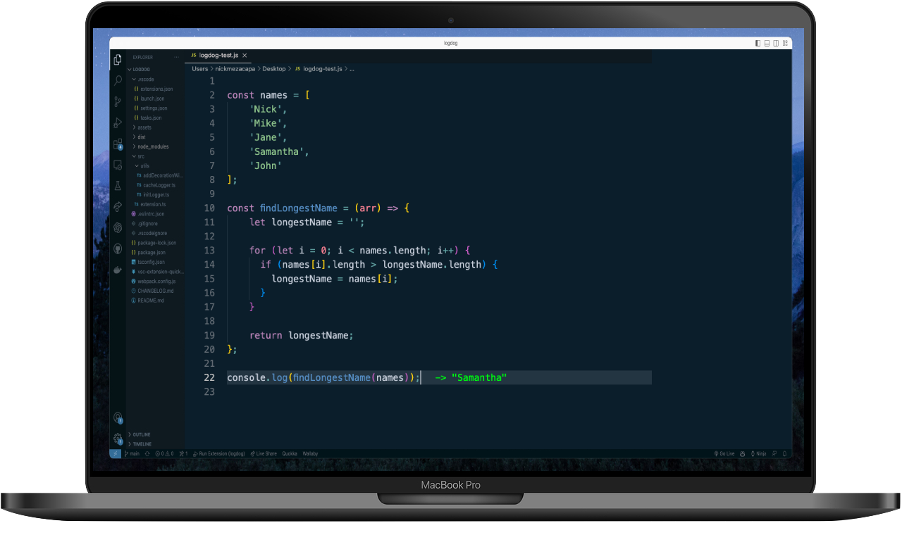 LogDog VS Code Display